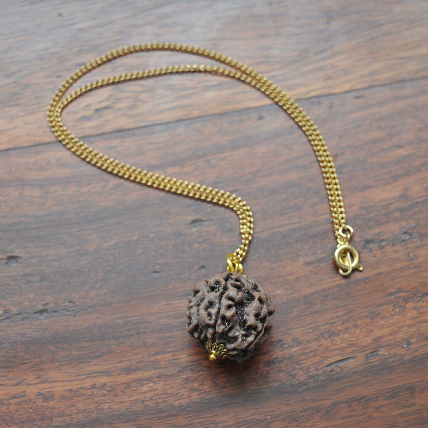Rudraksha Pendant Necklace on 16" Gold Plated Chain